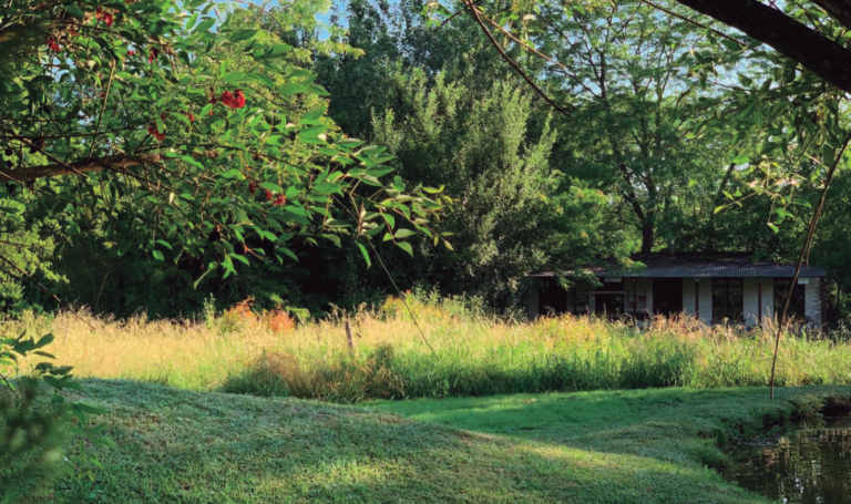 Las plantas nativas protagonizan los jardines